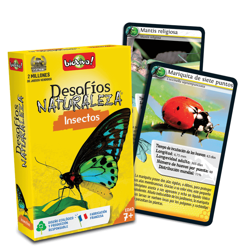 Cartes desafiament de la naturaleza insectes J4763 Bioviva