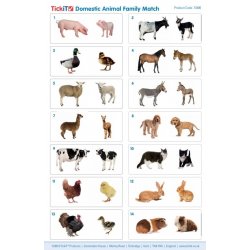 Parejas de animales domésticos de Tickit J4822 Tickit 6