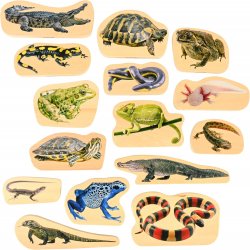 Reptiles y anfibios Tickit J5141 Tickit 4